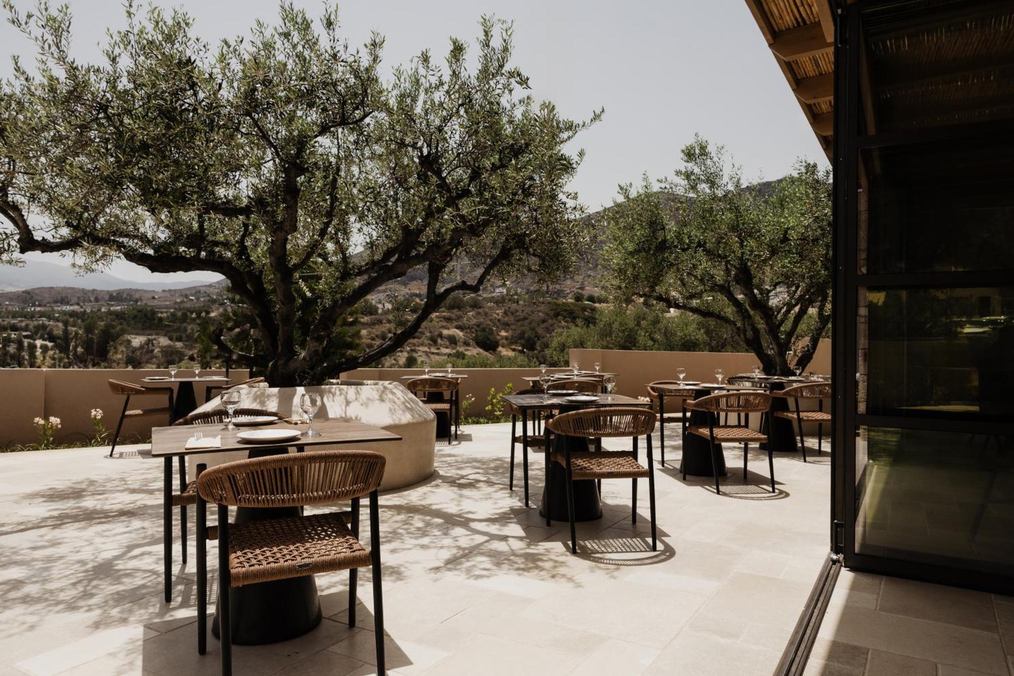 Momi Slow Living Hotel Hersonissos  Exterior foto